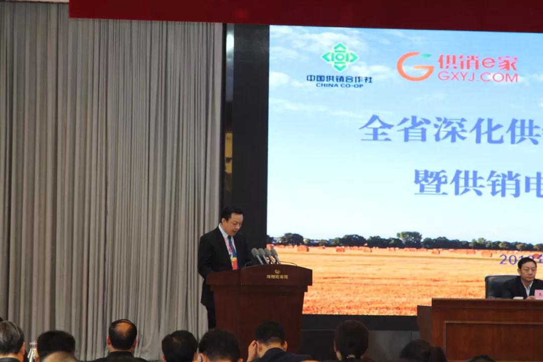 河南省供銷(xiāo)電子商務(wù)有限公司